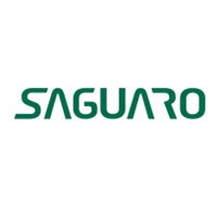 Saguaro Shoes DE