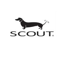 Scout Alarm