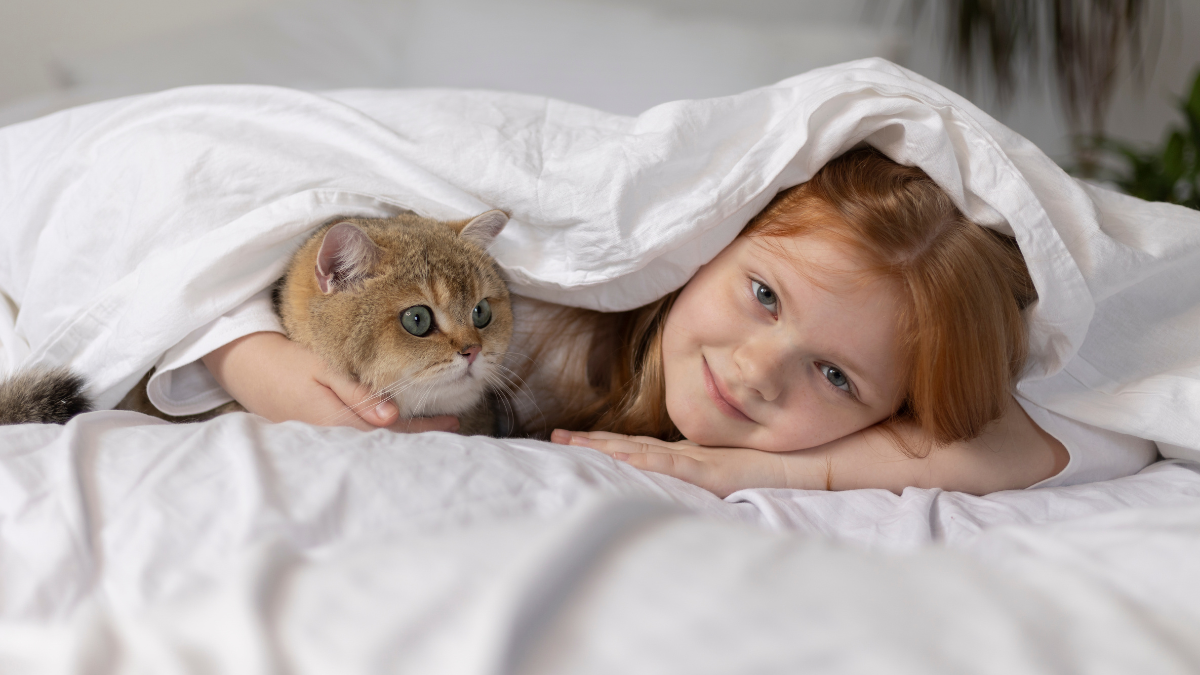 From Couch To Campfire Creative Uses For Lightweight Blanket